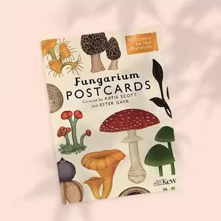 【现货】【欢迎来到博物馆】蘑菇馆明信片Fungarium Postcards英文文创明信片TemplarTemplar Publishing进口原版书9781787419896