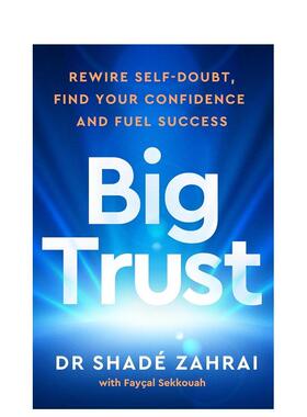 【预售】深度自信Big Trust英文社会科学Dr Shadé Zahrai精装Vermilion进口原版书9781785044908