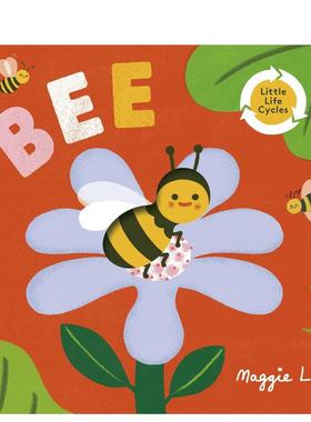 【预售】【小小生命周期】蜜蜂英文儿童绘本动物生态环保进口原版书纸板书Little Life Cycles: Bee Maggie Li著Templar Publishi