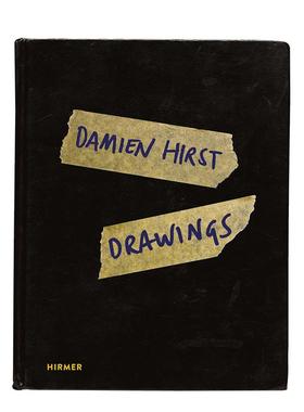 【现货】达米恩赫斯特 手稿集Damien Hirst Drawings英文艺术家艺术工作室Ralph Gleis Elsy Lahner精装Hirmer Publishers进口原版
