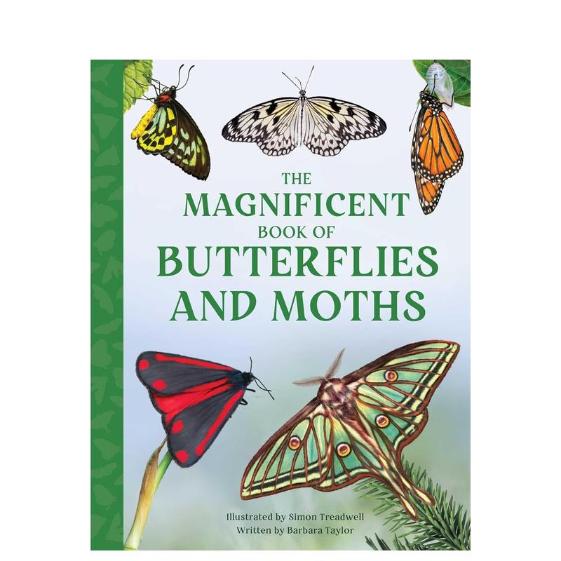 【预 售】蝴蝶和飞蛾大书英文儿童绘本动物生态环保进口原版书Magnificent Book of Butterflies and Moths精装Barbara Taylor 著W 书籍/杂志/报纸 生活类原版书 原图主图