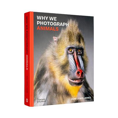 【现货】为何拍摄动物Why We Photograph Animals英文摄影集自然景观Huw Lewis-Jones精装Thames & Hudson进口原版书9780500022726