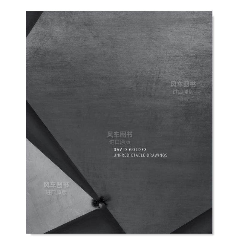 【预售】不可预测的图画英文艺术家艺术工作室进口原版外版书精装David Goldes: Unpredictable DrawingsDavid GoldesRadius Boo