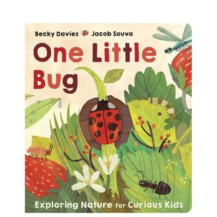 Davies著Little Press出版 小小 Little Bug 书纸板书One 翻翻书 飞虫英文儿童趣味进口原版 Tiger Becky 现货