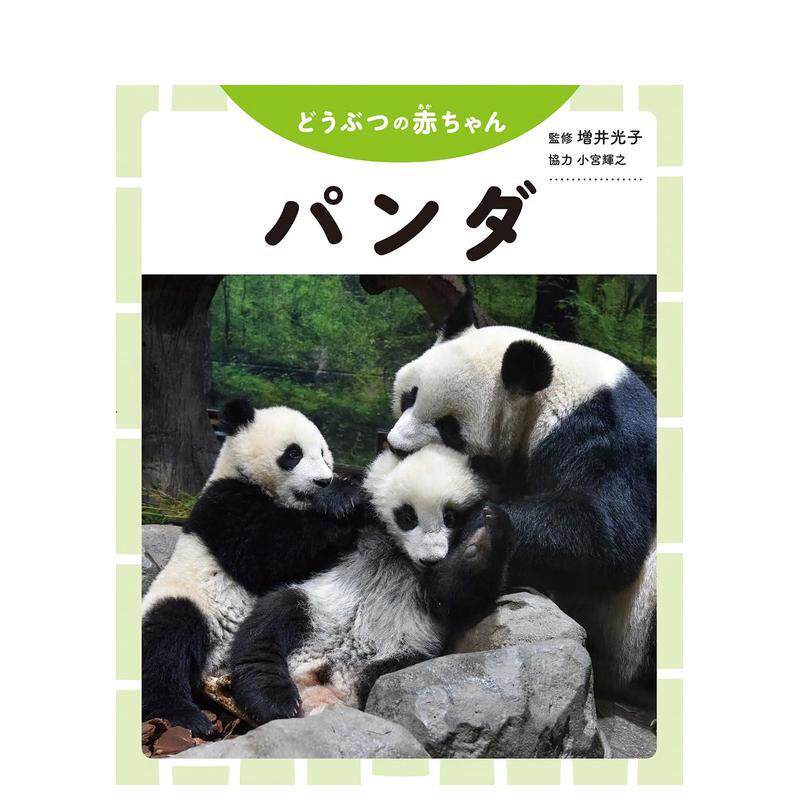【现货】 小熊猫宝宝写真集日文摄影増井 光子金の星社进口原版书9784323052144パンダ (どうぶつの赤ちゃん)