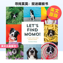 现货 Seek Momo 英文儿童图书青少年读物Lets Book进口原版 Hide 正版 Board And Find 外版 寻找莫莫：捉迷藏板书