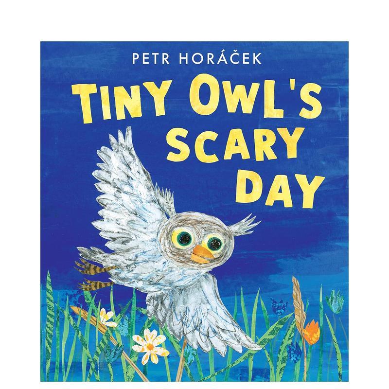 小猫头鹰惊险的一天（平装） T