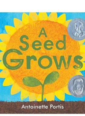 【现货】一颗种子生长A Seed Grows  英文儿童绘本动物生态环保3-6岁精装Antoinette Portis进口原版书Neal Porter9780823448920