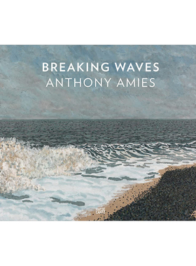 【预售】安东尼·艾米斯：破浪英文外国美术20世纪进口原版外版书精装14岁以上Anthony Amies: Breaking WavesJens Neubert?Hatj