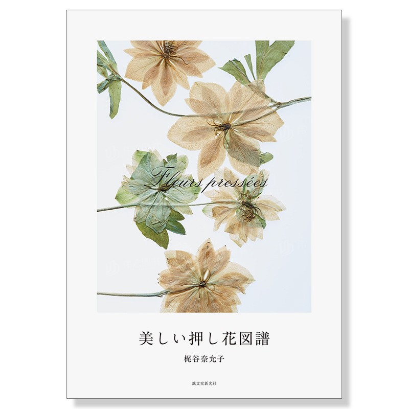 美しい押し花図譜 誠文堂新光社 日文原版进口艺术压花作品