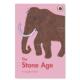 Book 预售 外版 The 石器时代英文儿童绘本知识百科进口原版 AgeSidra Stone 书精装 Ladybird AnsariLadybird