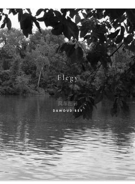 【预售】达沃德·贝：挽歌英文摄影摄影师专辑进口原版外版书精装Dawoud Bey: Elegy Dawoud Bey Aperture