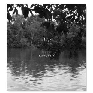 外版 书精装 Dawoud Elegy 达沃德·贝：挽歌英文摄影摄影师专辑进口原版 Bey Aperture 预售
