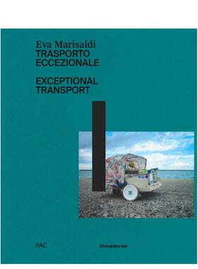 【预售】伊娃马里萨尔迪 非凡之旅 米兰PAC展览的配套出版物Eva Marisaldi 英文艺术博物馆展览私人收藏画册Diego Sileo精装Silva