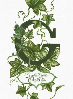 【现货】G  永恒的绿色G英文室内设计空间与装饰Carlos Mota精装vendome press进口原版书9780865654082