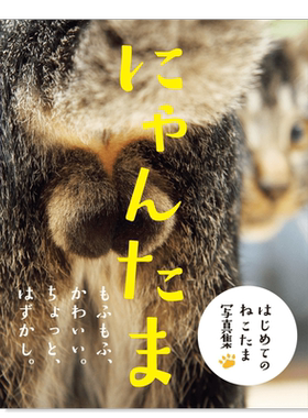 猫咪的蛋蛋にゃんたま日文摄