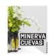 Cueva 装 Cueva英文外国美术当代Minerva 置艺术Minerva Minerva Verlag平装 CuevaRm 预售 进口原版 书9788419233516