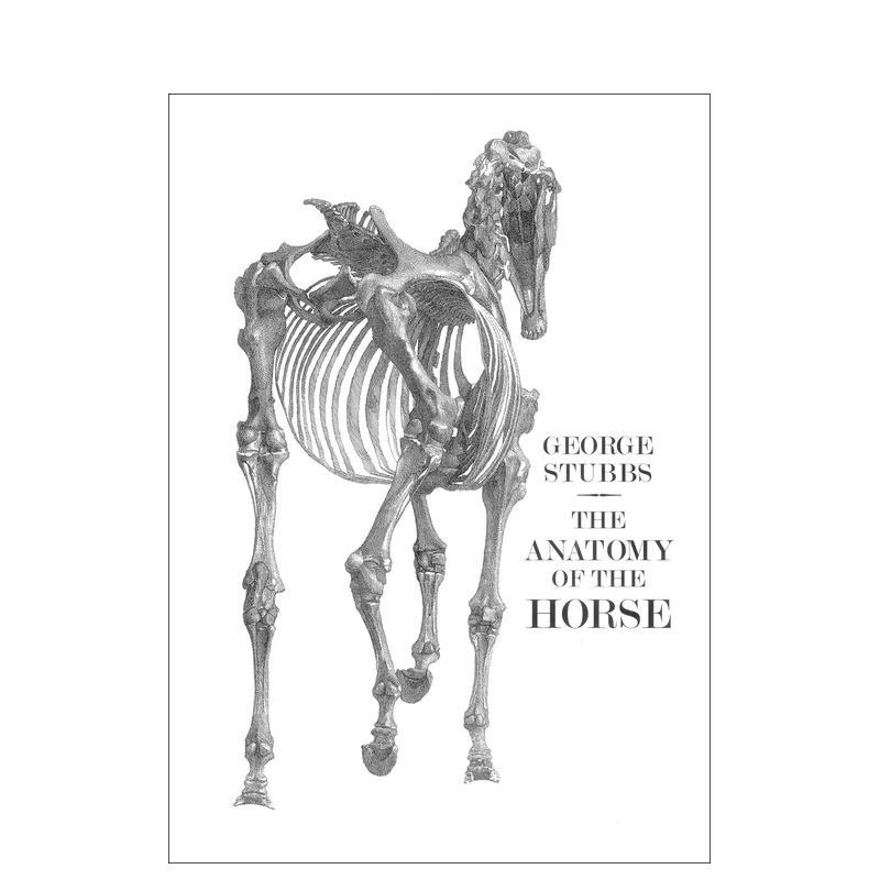 马匹解剖学 The Anato