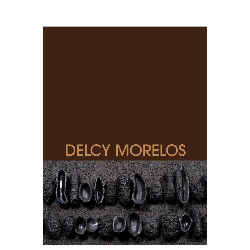 【预售】德尔西莫雷洛斯Delcy Morelos英文艺术艺术家艺术工作室Delcy MorelosRm Verlag精装进口原版书9788419233936