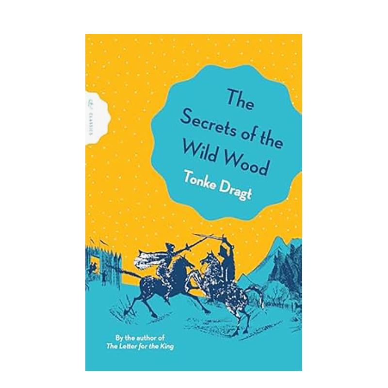 天生一对 同名影视原著小说 【