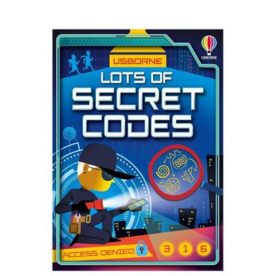 【现货】密码大集合Lots of Secret Codes英文儿童绘本知识百科Sam Smith平装Usborne children’s books进口原版书