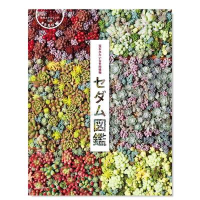 【预 售】景天科植物图鉴：像宝石般的多肉植物 セダム図鑑: 宝石みたいな多肉植物日文生活方式 多肉スタイリング協会