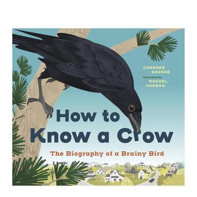 【预售】如何读懂乌鸦How to Know a Crow英文儿童绘本动物生态环保Candace Savage平装Greystone books进口原版书9781778403354