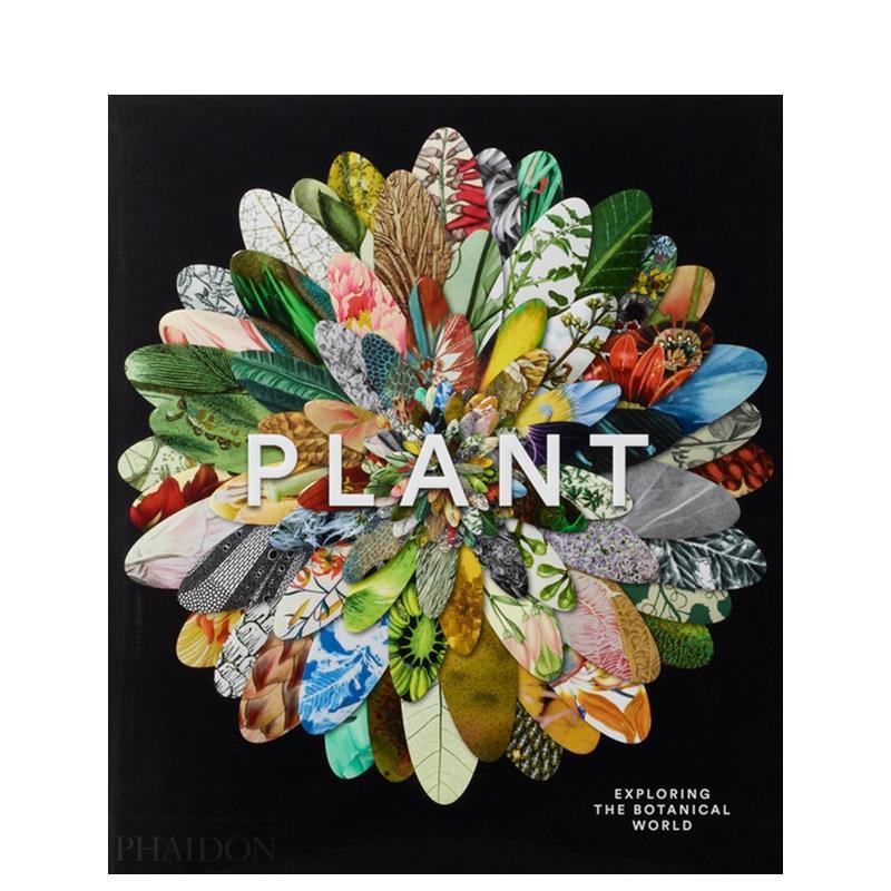 植物：探索植物世界 Plant
