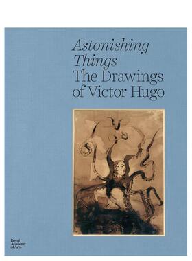 【预售】惊世骇俗维克多雨果的画作Astonishing Things 英文外国美术19世纪Gérard AudinetRoyal Academy of Arts精装进口原版书