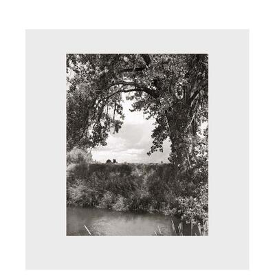 【预售】罗伯特亚当斯三角叶杨Robert Adams英文摄影集摄影师专辑Robert Adams 精装Steidl进口原版书9783958290969