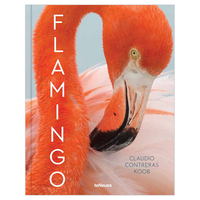 【现货】火烈鸟英文摄影纪实精装进口原版外版书Flamingo Claudio Contreras Koob