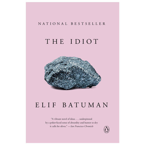 【预售】白痴英文文学小说简装The Idiot Elif Batuman著Penguin Books 出版