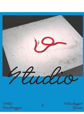 【预售】虚实交融模型与现实的边界Studio 英文博物馆展览私人收藏画册Jojakim Cortis平装Scheidegger & Spiess进口原版书978303