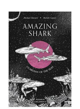 【预售】神奇鲨鱼海洋守护者Amazing Shark英文儿童图书青少年读物Michael Stavaric精装Pushkin Press进口原版书9781782695530