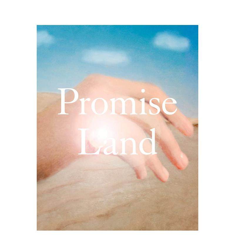 【预售】应许之地英文摄影综合作品进口原版外版书精装14岁以上Promise Land  Gregory Eddi Jones SPBH Editions
