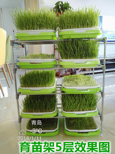 纸上种菜豆芽菜芽苗菜不锈钢种植架育苗架 育苗盘组合支架置物架