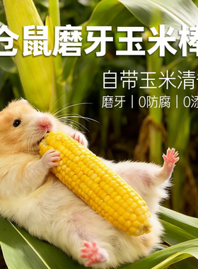 玉米磨牙棒金丝熊仓鼠小宠磨牙小零食