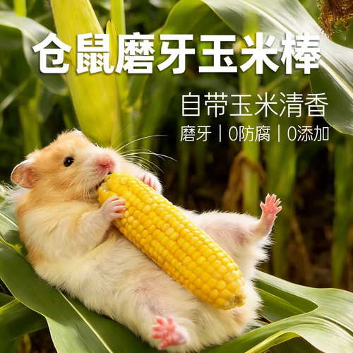 玉米磨牙棒金丝熊仓鼠小宠磨牙小零食