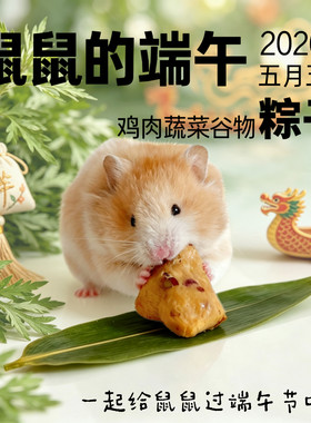仓鼠粽子端午节粮食零食营养金丝熊谷物蔬菜真空独立包装开袋即食