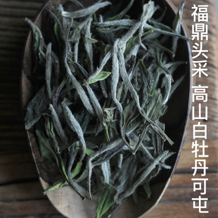 挑 tea｜2021年头采高山白牡丹｜自存福鼎磻溪白茶纯手工50g回甘