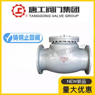 40C铸钢法兰卧式 中国唐工阀门H44H 止回阀高温蒸汽425度