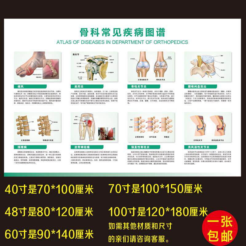 医院医学骨科挂图人体全身骨骼结构解剖图海报 骨科常见疾病图谱