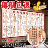 十二经络及任督二脉穴位图人体挂画装 饰贴画全身中医养生馆大挂图