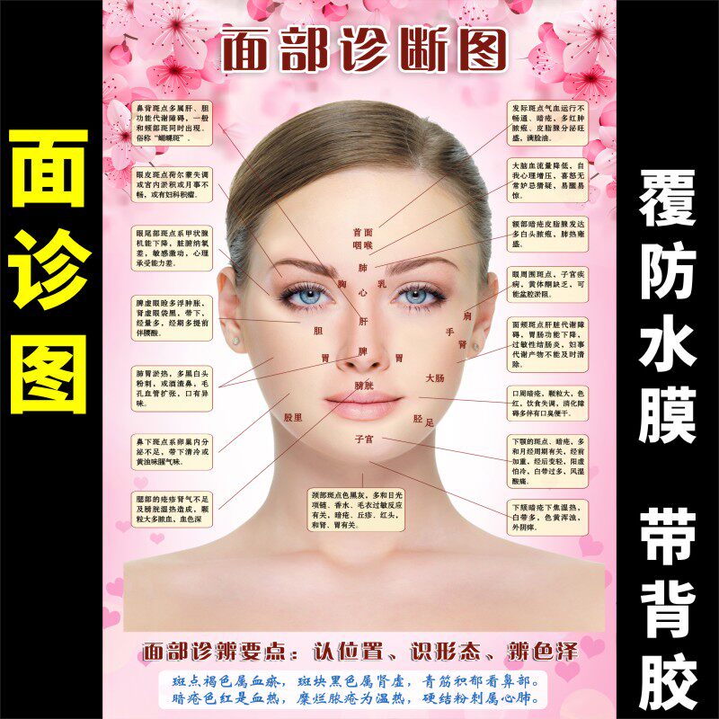 人体面部穴位图经络美容院脸部按摩中医养生图片挂图刮痧面诊海报