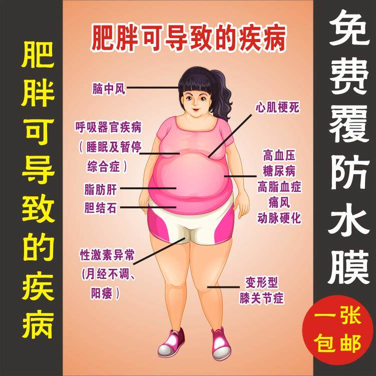 肥胖的危害海报宣传画挂图肥胖可导致的疾病广告展板美容美体图片