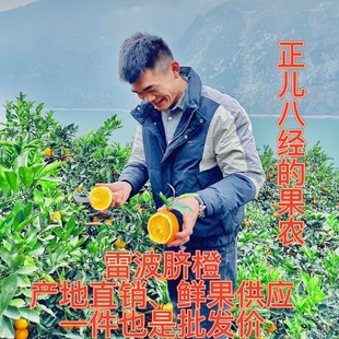 正宗雷波脐橙10斤 20斤装  自产自销，产地直发货，青杠村