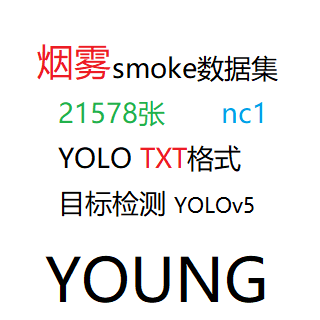 目标检测YOLO数据集雾烟雾目标检测21578张数据集YOLO txt格式nc1