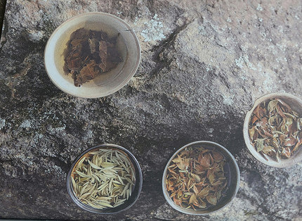 《拾年。》2011年。出口藏品老白绝版复刻 福鼎白茶 白首不相离