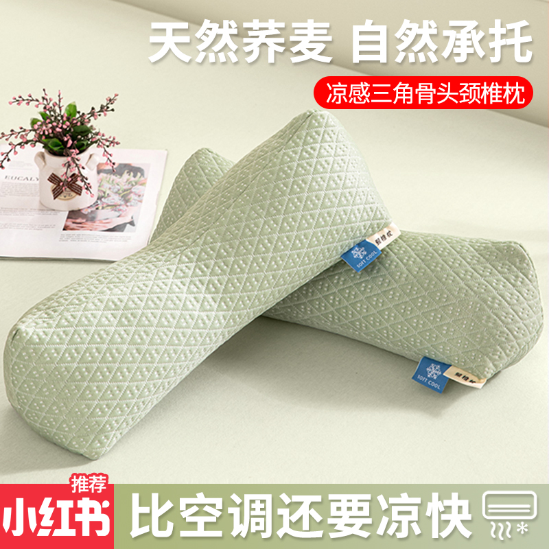 夏季凉感荞麦枕头护颈椎助睡眠反弓富贵包睡觉专用枕芯一对小整头