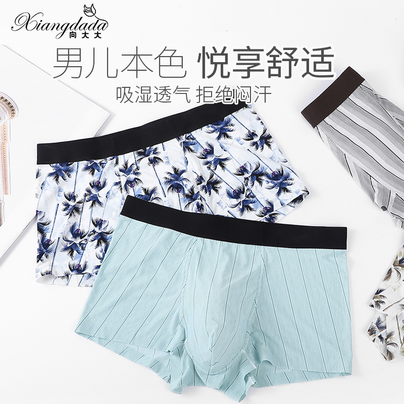 向大大夏季男士内裤两条装